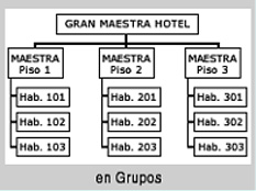 Amaestramiento en grupos